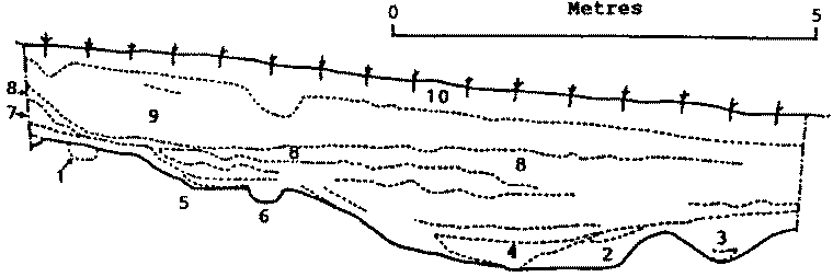 Section from main trench